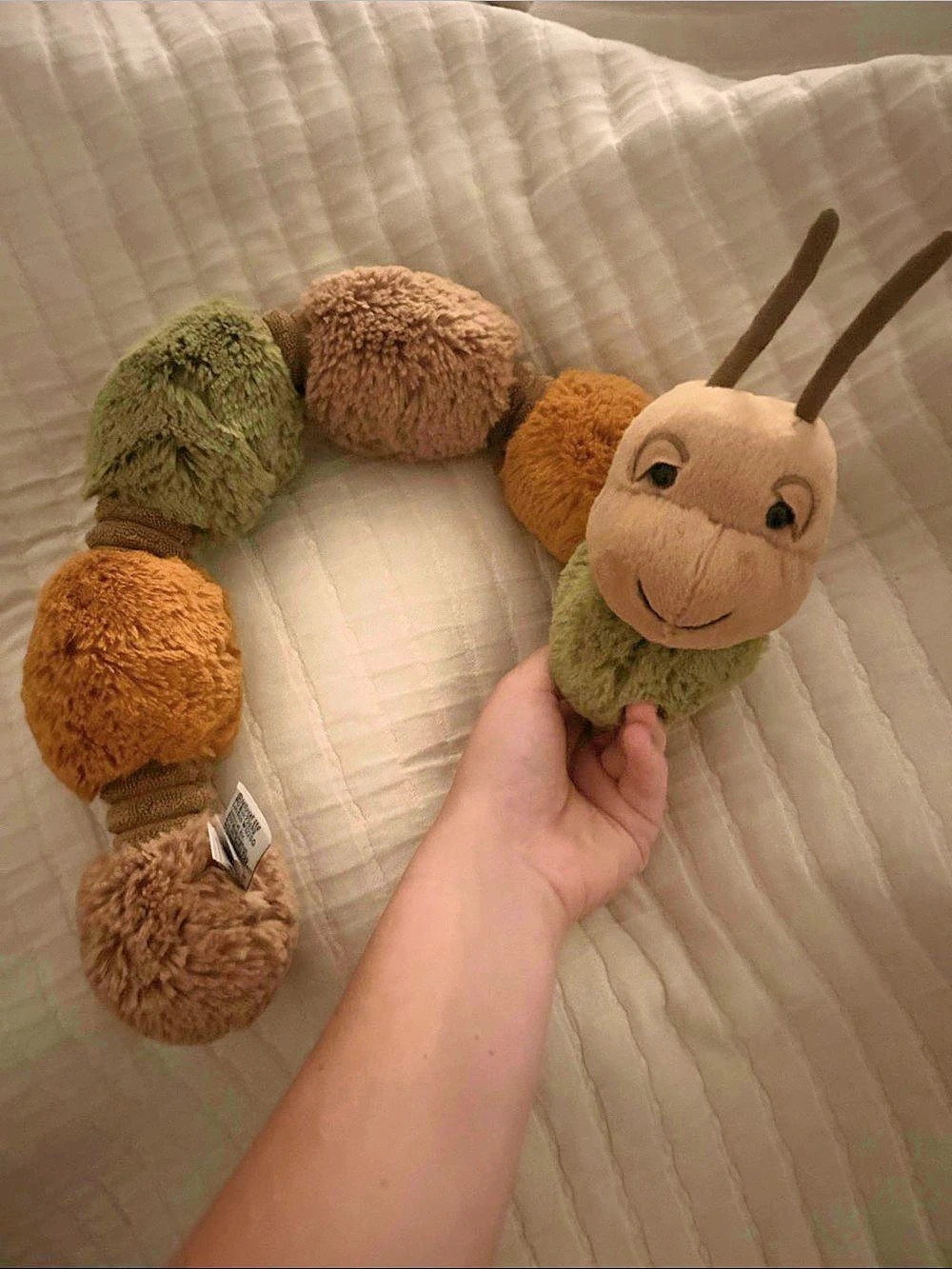 Jellycat Figgy Caterpillar Plush Toy in Brown & Green